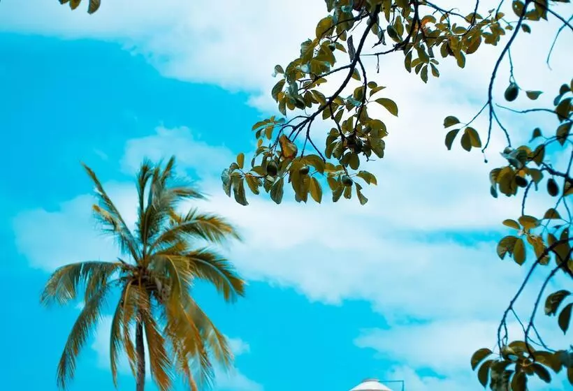 هتل Ito Mar Azul