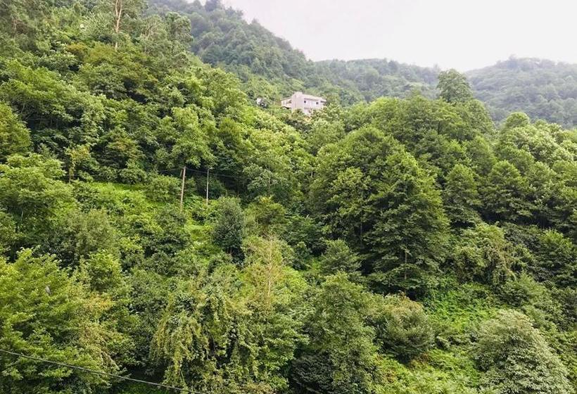 هتل Giorgi Kvariati