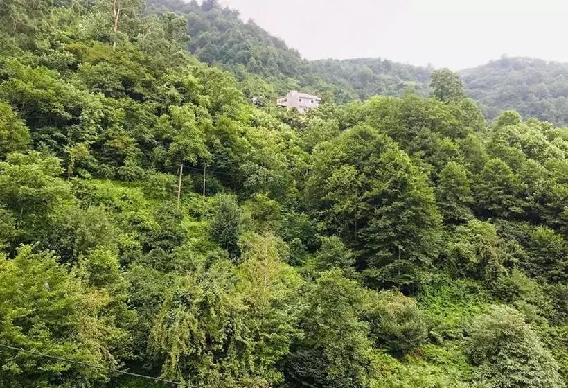 هتل Giorgi Kvariati