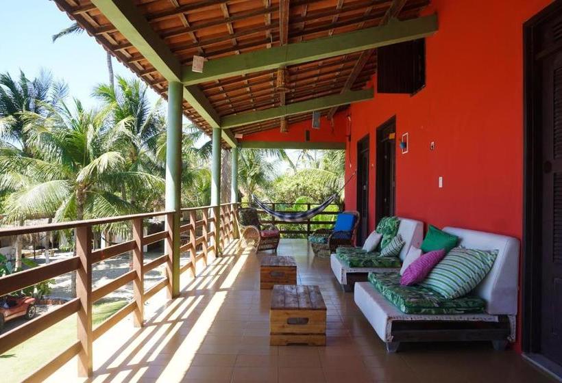 Indiana Kite School And Hostel