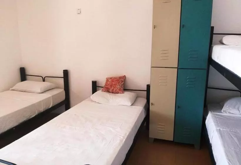 Indiana Kite School And Hostel