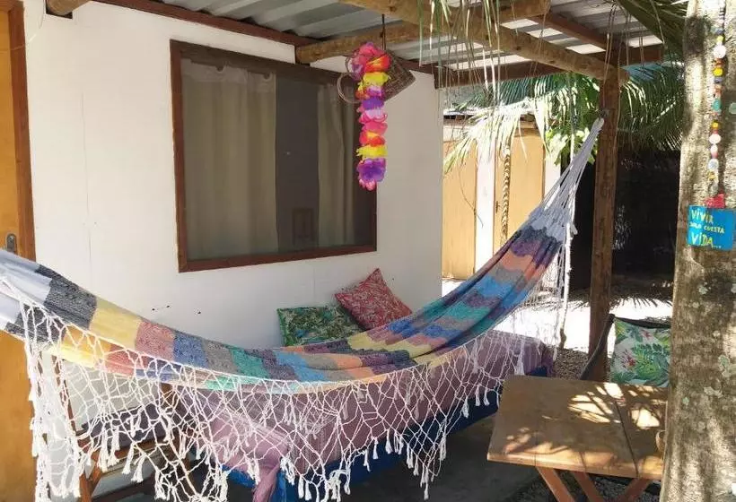 Indiana Kite School And Hostel