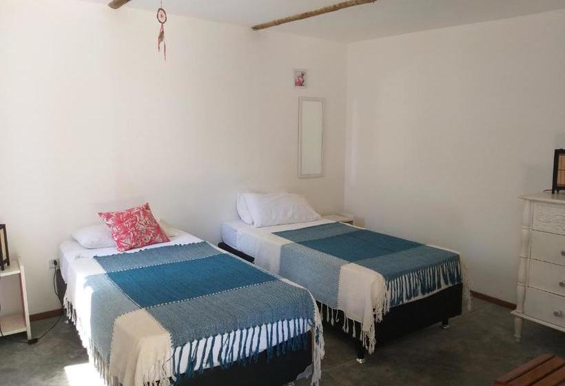 Indiana Kite School And Hostel