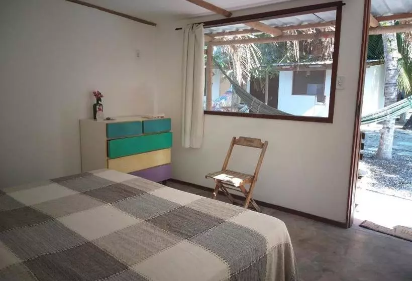 Indiana Kite School And Hostel