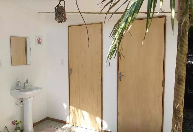 Indiana Kite School And Hostel