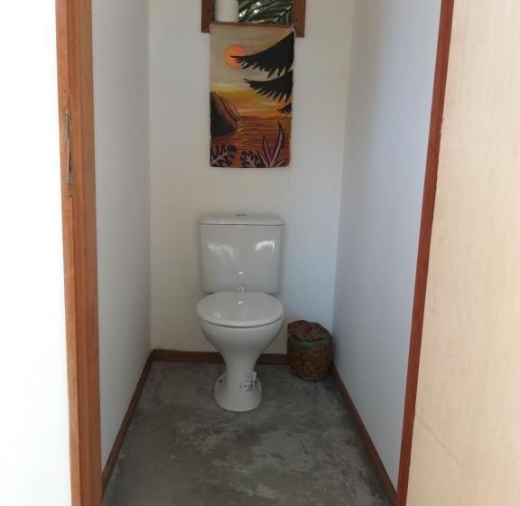 Indiana Kite School And Hostel