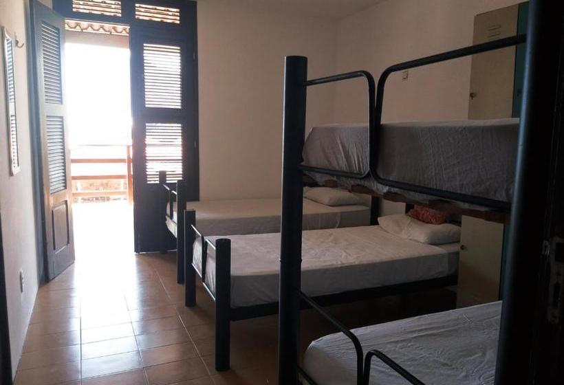 Indiana Kite School And Hostel