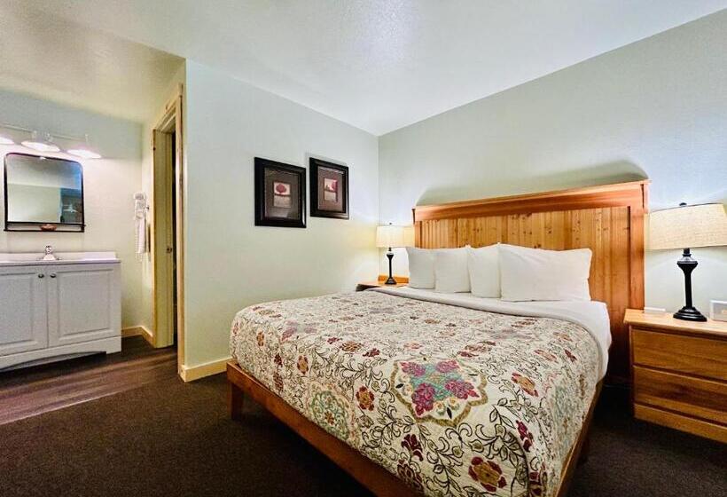 הוסטל Mt Gardner Inn