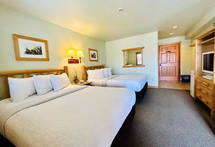 ユースホステル Mt Gardner Inn