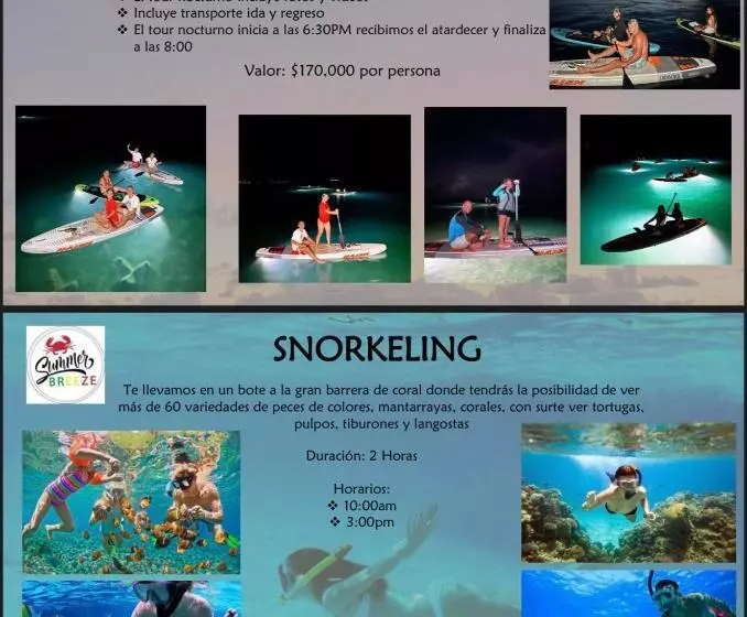 هاستل Summer Breeze