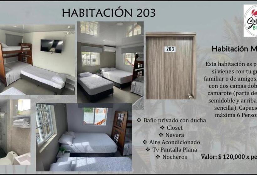 هاستل Summer Breeze