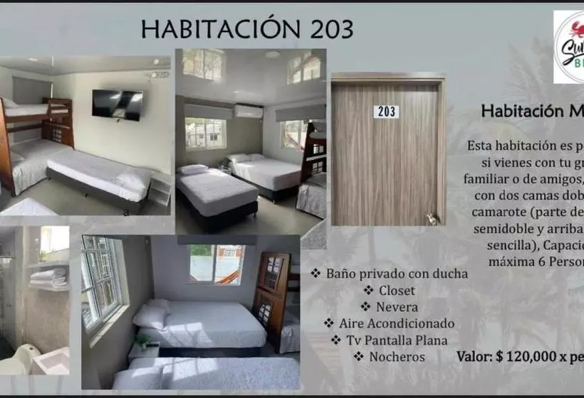 هاستل Summer Breeze