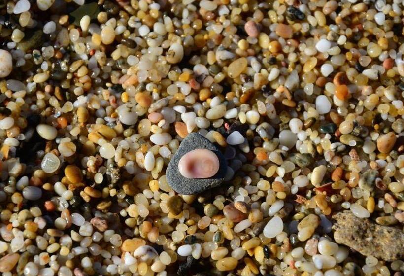 فندق Agriturismo Costa Verde