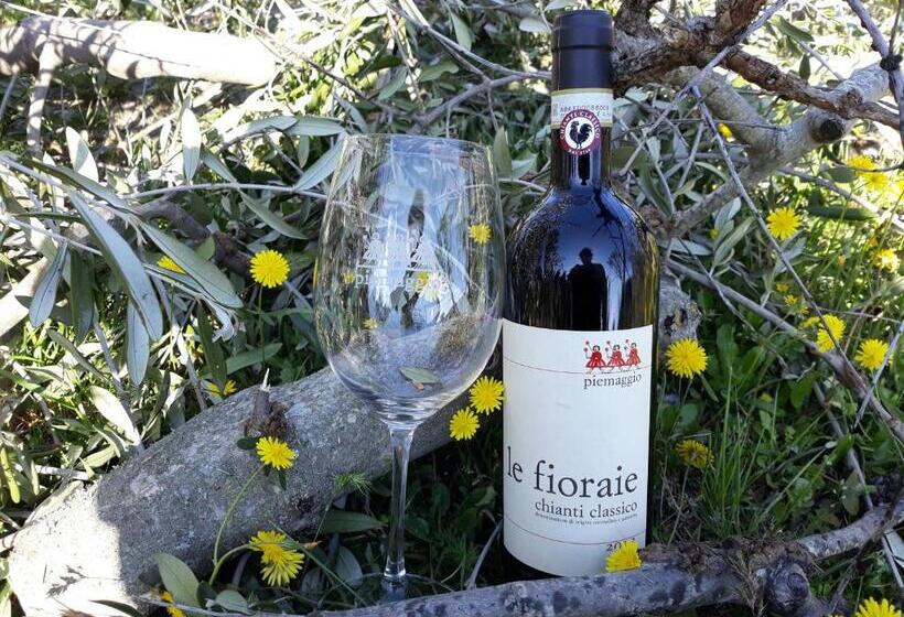 בית מלון כפרי Agriturismo Piemaggino