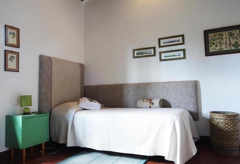 בית מלון כפרי Agriturismo Piemaggino