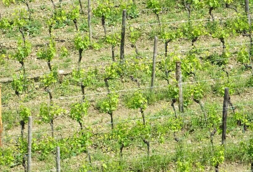 בית מלון כפרי Agriturismo Piemaggino