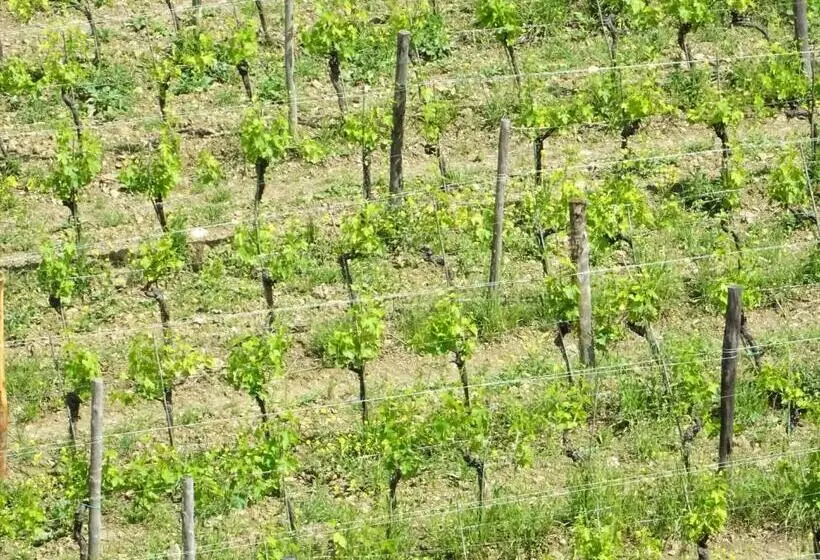 ホテル Agriturismo Piemaggino