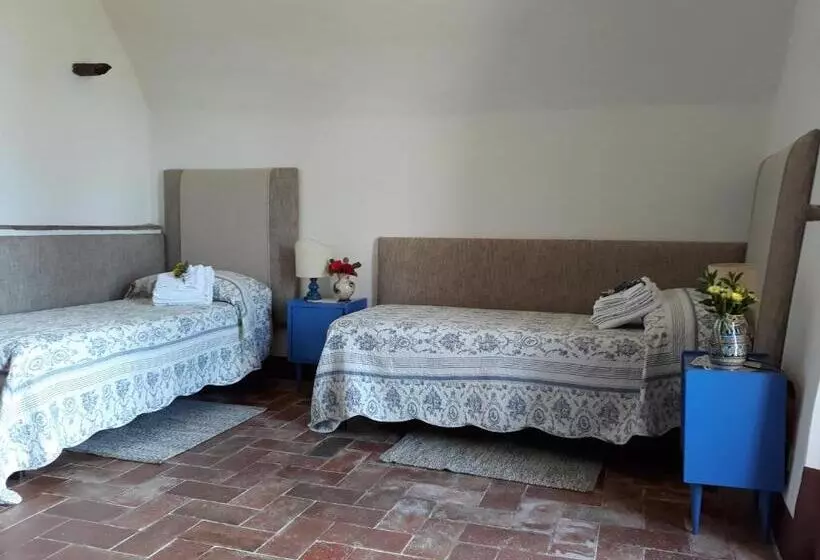 ホテル Agriturismo Piemaggino