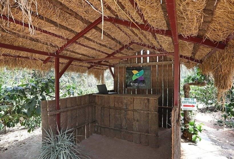 Itsy Hotels Jammabane Cottage