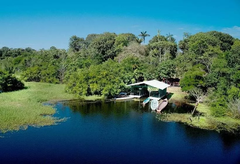 ペンション Amazonia Jungle