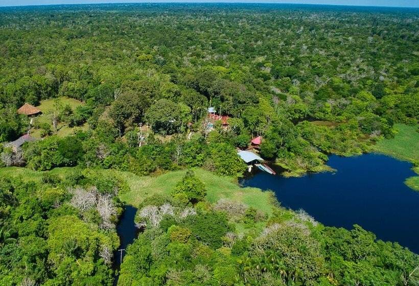 Pension Amazonia Jungle