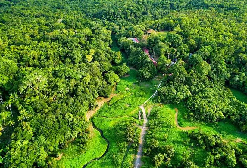 ペンション Amazonia Jungle