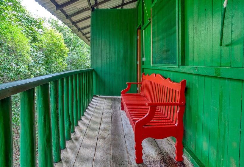 Pension Amazonia Jungle