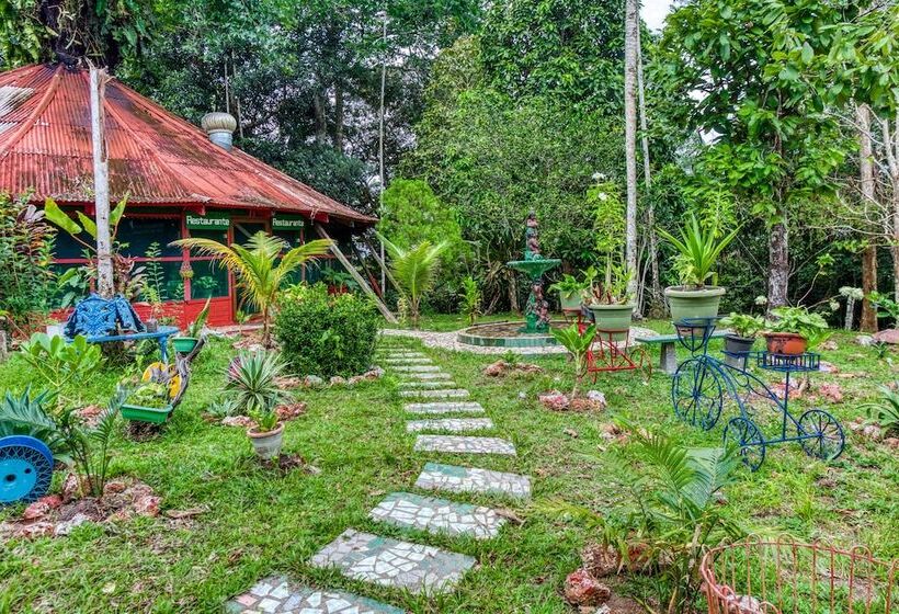 Pension Amazonia Jungle