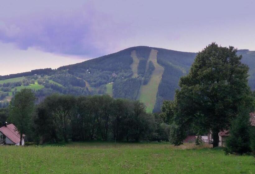 פנסיון Penzion V Kolonce