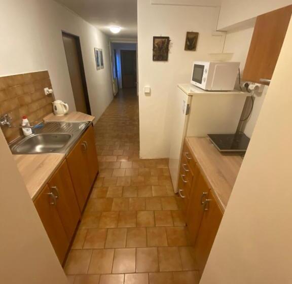 פנסיון Penzion V Kolonce