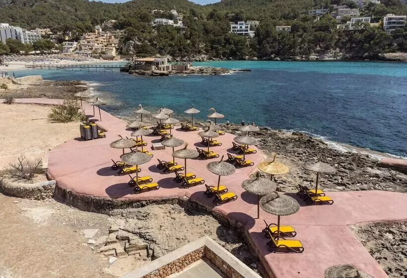 ホテル Alua Gran Camp de Mar