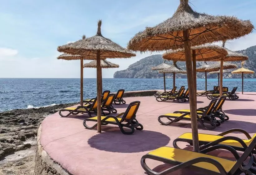 ホテル Alua Gran Camp de Mar