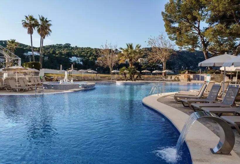 ホテル Alua Gran Camp de Mar