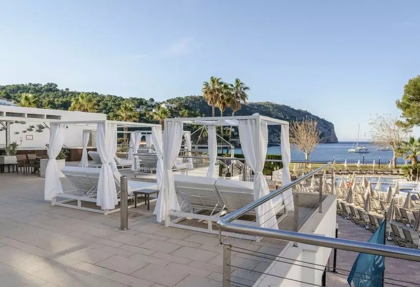ホテル Alua Gran Camp de Mar