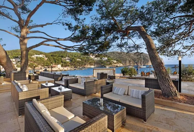ホテル Alua Gran Camp de Mar