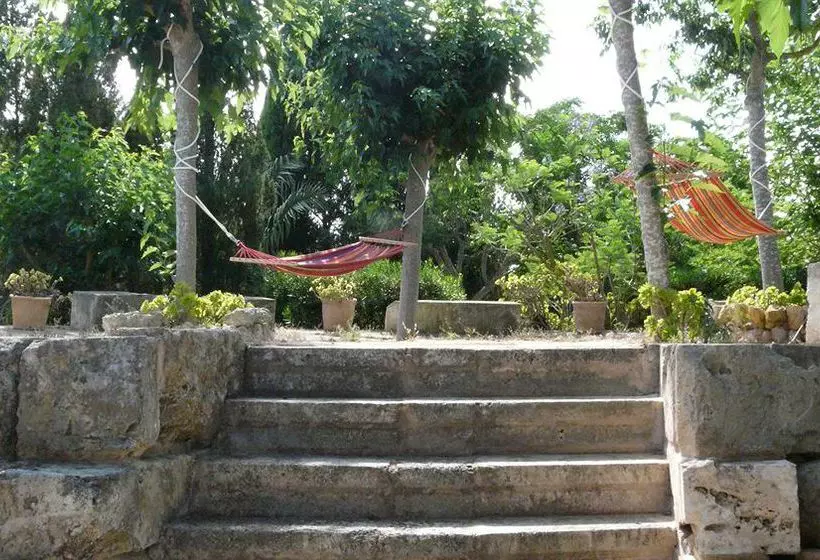 田舎風ホテル Finca Es Palmer