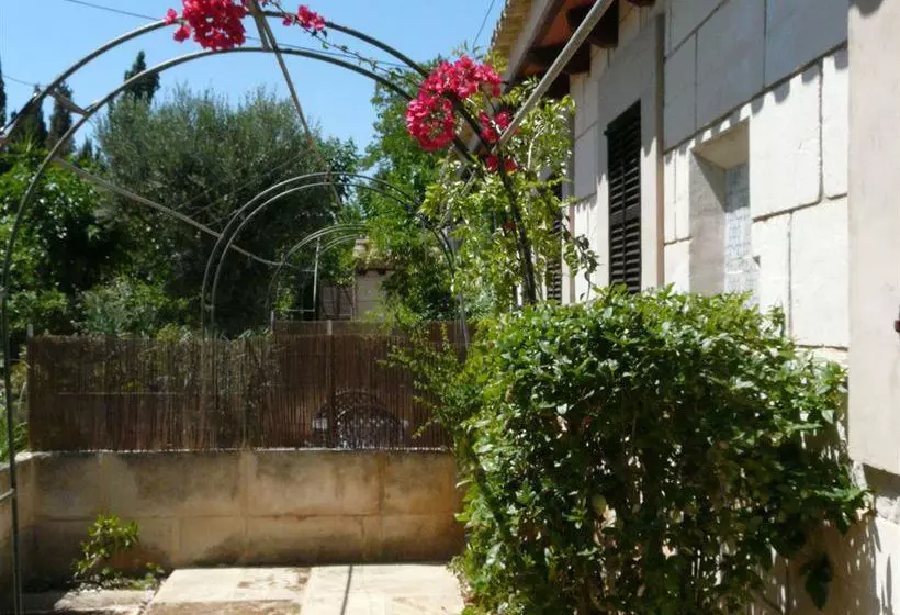 田舎風ホテル Finca Es Palmer