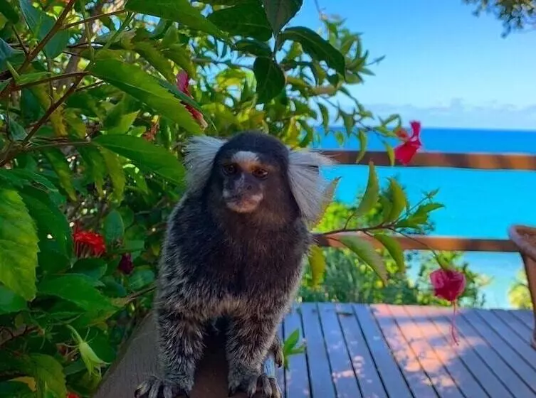 リゾートホテル Casablanca