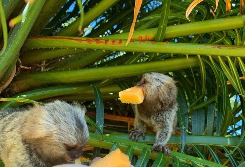 استراحتگاه Casablanca