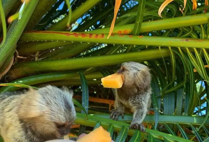 リゾートホテル Casablanca