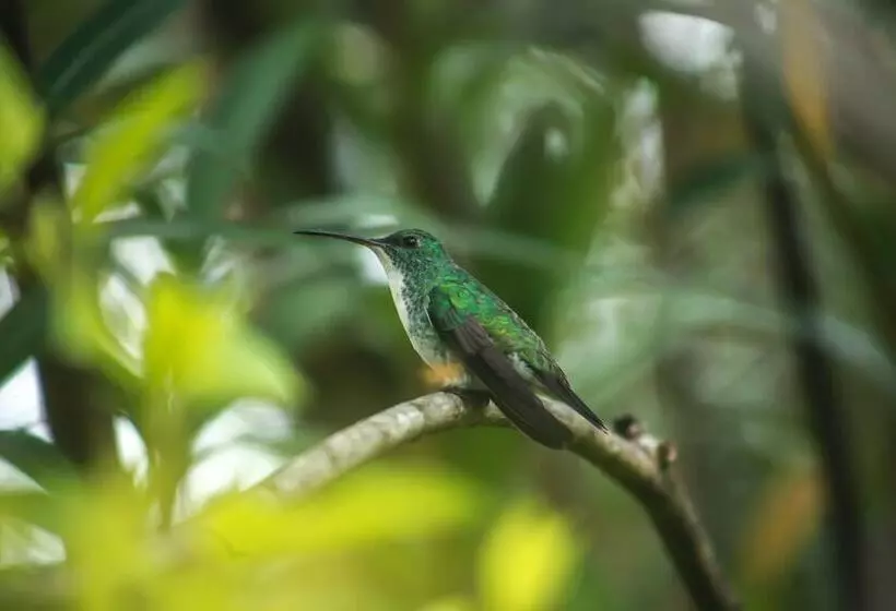 リゾートホテル Casablanca