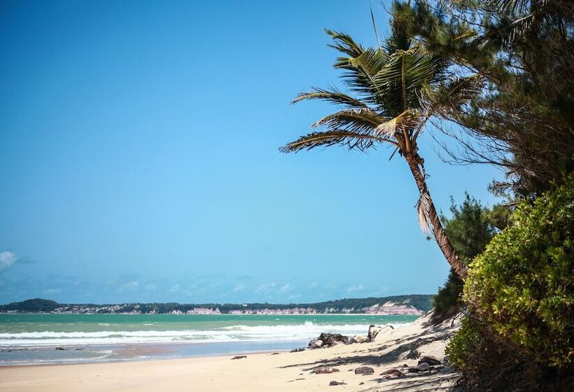 استراحتگاه Casablanca