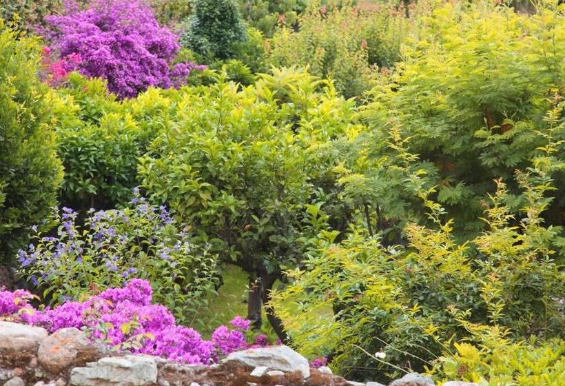 ベッドアンドブレックファースト Casa Nobile