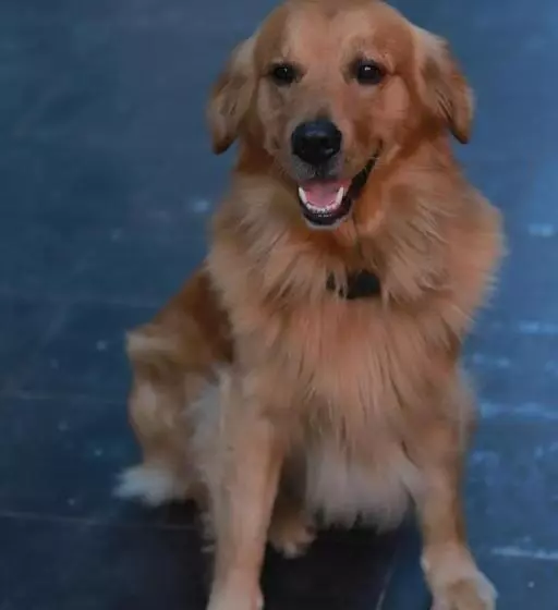 Lijiang Desti Youth Park Hostel