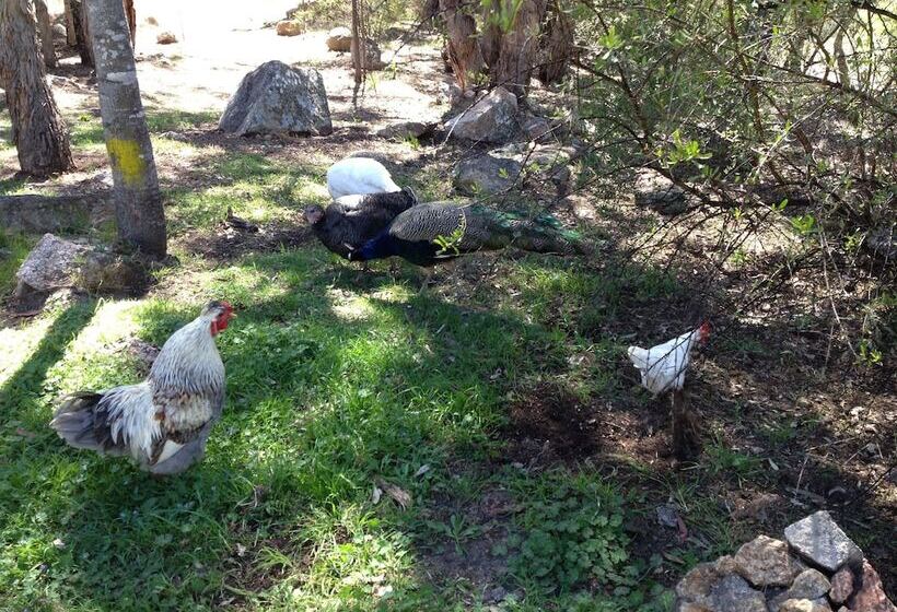 Glen Aplin Gardens B&b