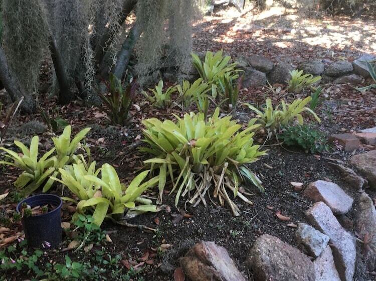 Glen Aplin Gardens B&b