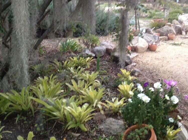 Glen Aplin Gardens B&b