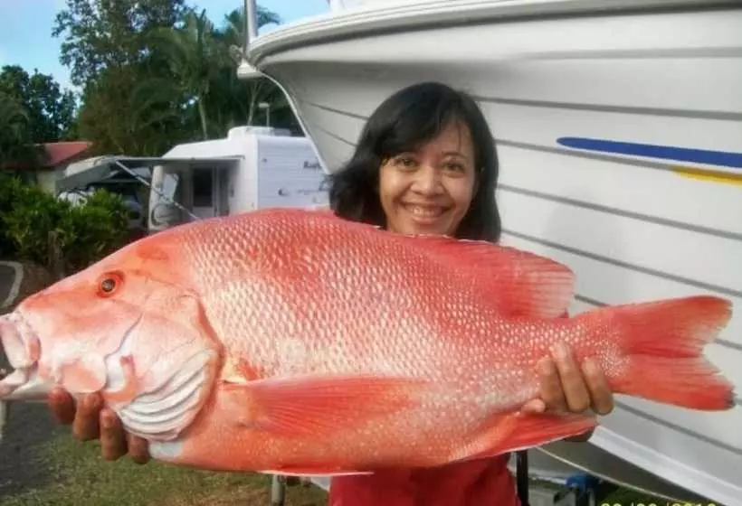 ホテル Flying Fish Point Tourist Park