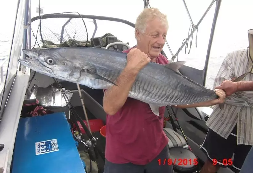 ホテル Flying Fish Point Tourist Park