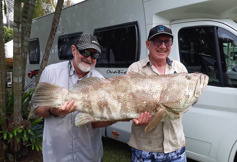 酒店 Flying Fish Point Tourist Park